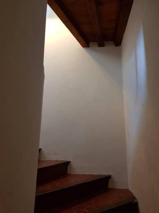 Appartement Pres Des Plages Du Mourillon Tulon Zewnętrze zdjęcie